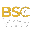 BSCView